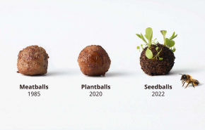 IKEA создали «фрикадельки» из земли, глины и семян сорных трав