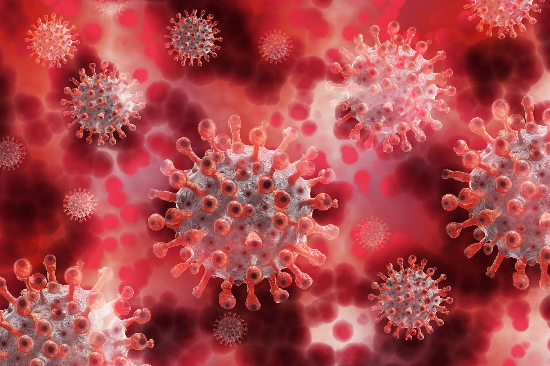 Число стран с заражениями штаммом коронавируса BA.4 растет