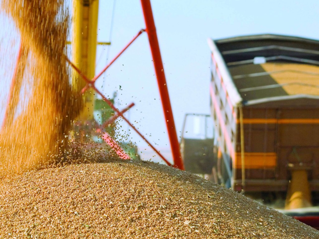 Украина вывозит пшеницу в Европу, несмотря на риск дефицита