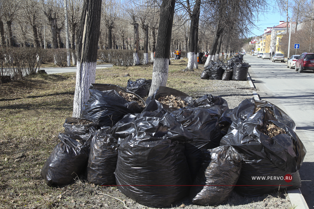 1163 тонны мусора вывезли из Первоуральска во время субботников