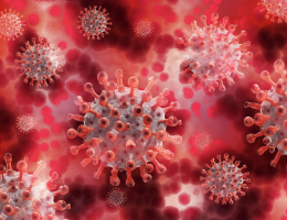Число стран с заражениями штаммом коронавируса BA.4 растет
