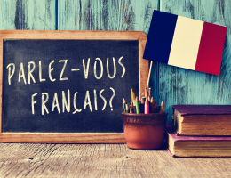 С помощью каких книг можно эффективно выучить французский язык