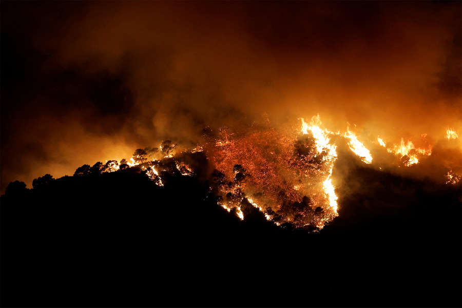 Европа борется с лесными пожарами в сильную жару