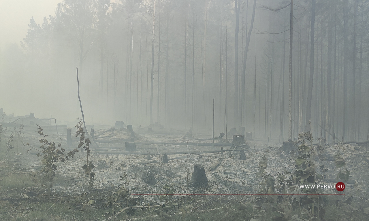 Под Полевским потушили лесной пожар площадью 14 гектаров