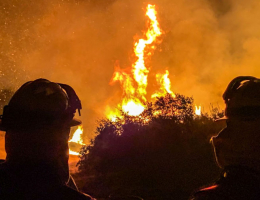 В американском штате Юта бушует сильный лесной пожар