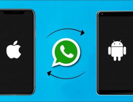 В WhatsApp заработала функция переноса данных c одного устройства на другое