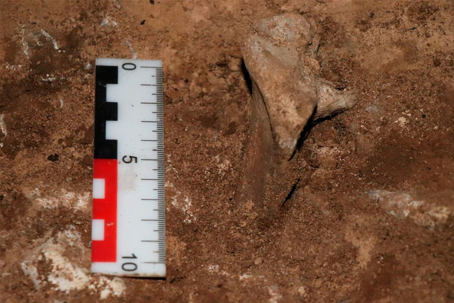 В челябинской пещере ученые обнаружили доисторический частокол из костей