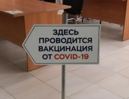 Пик по коронавирусу в России ожидают в конце августа