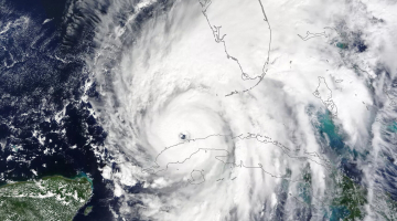 На Флориду надвигается грозящий «катастрофическими разрушениями» ураган «Ян»