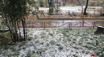 В Первоуральске выпал первый снег