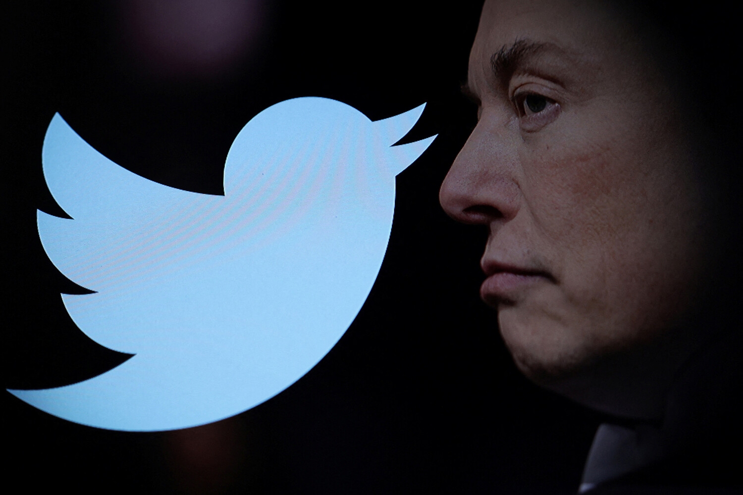 Маск сообщил о полном пересмотре процесса верификации аккаунтов в Twitter