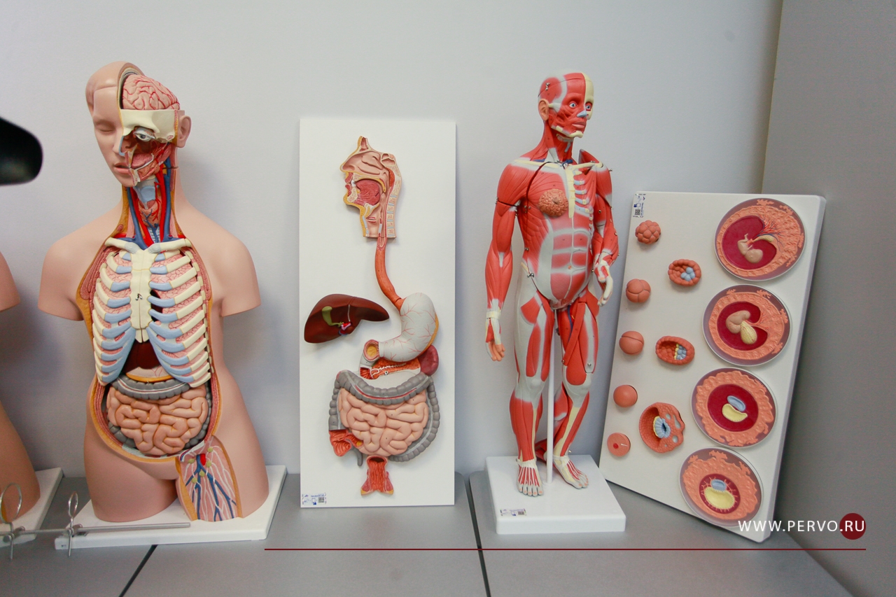 Детская больница остаётся базовой площадкой для медицинского класса лицея № 21