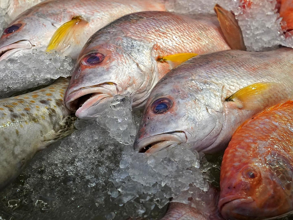 В России в ближайшие полгода не ожидается дефицита рыбы