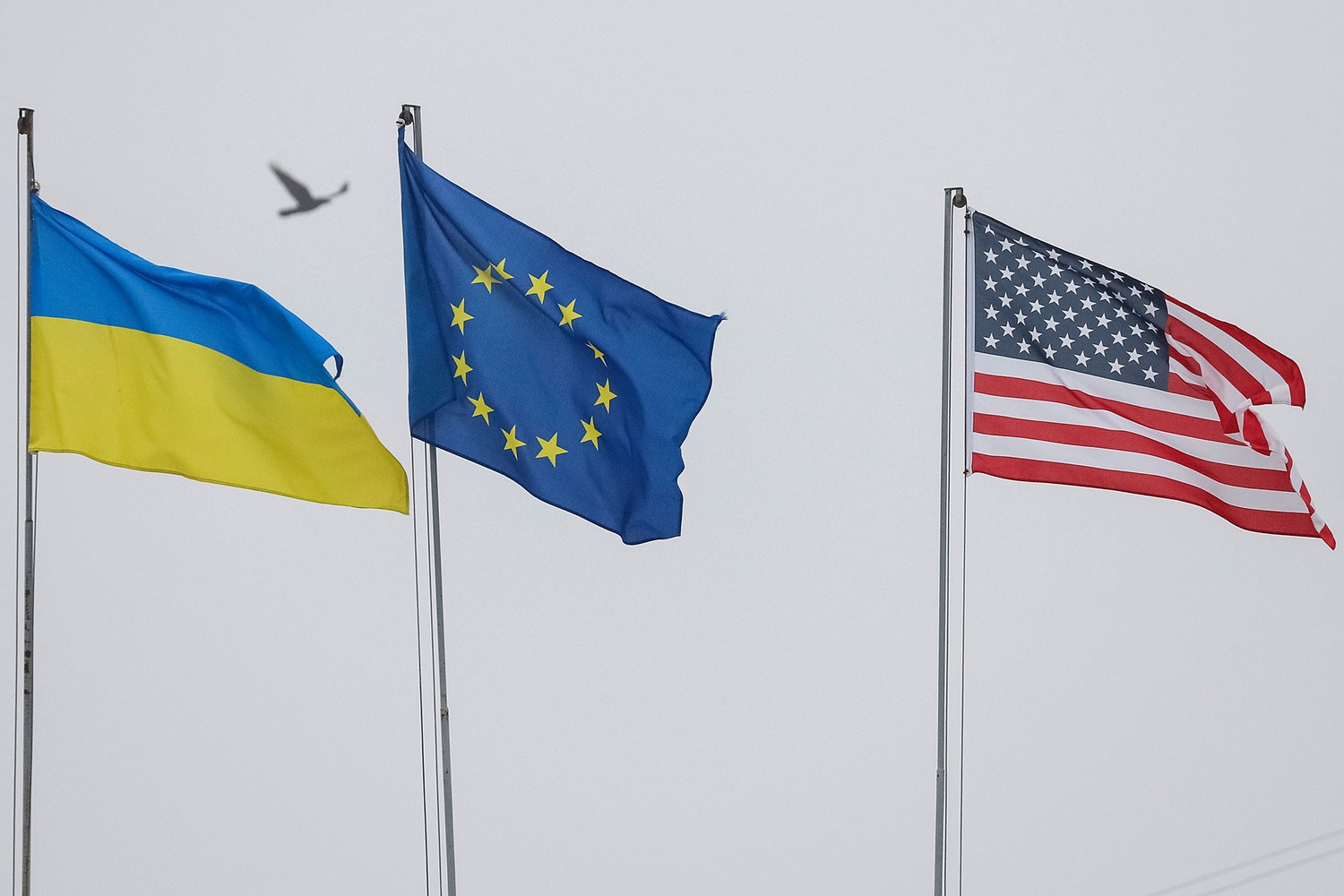 США обеспокоены возможным отказом Европы от санкций против России