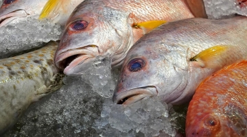 В России в ближайшие полгода не ожидается дефицита рыбы