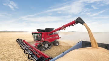 80% российских аграриев из РФ могут не получить субсидии на зерновые