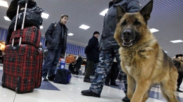 Максимальный уровень угрозы терактов введен в московских аэропортах