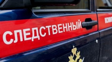 В Челябинске возбудили уголовное дело после смерти ребенка от ОРВИ
