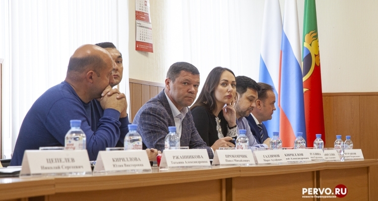 В городской Думе Первоуральска состоялось заседание комитетов