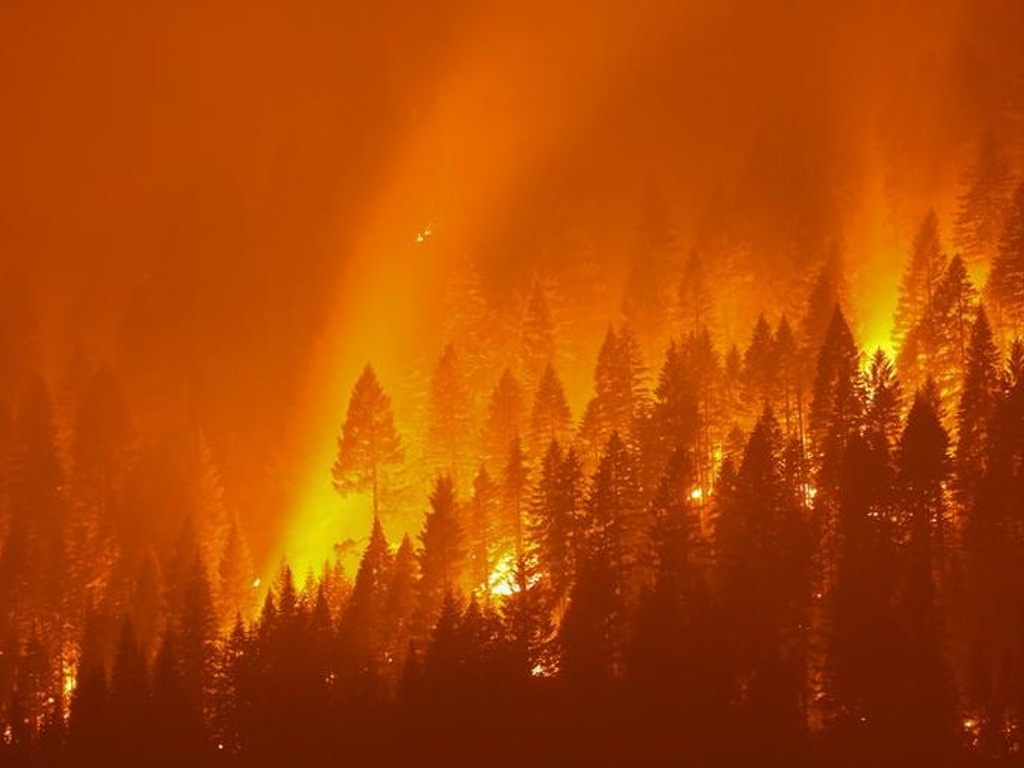 В Свердловской области площадь лесных пожаров превысила 33 тысячи гектаров