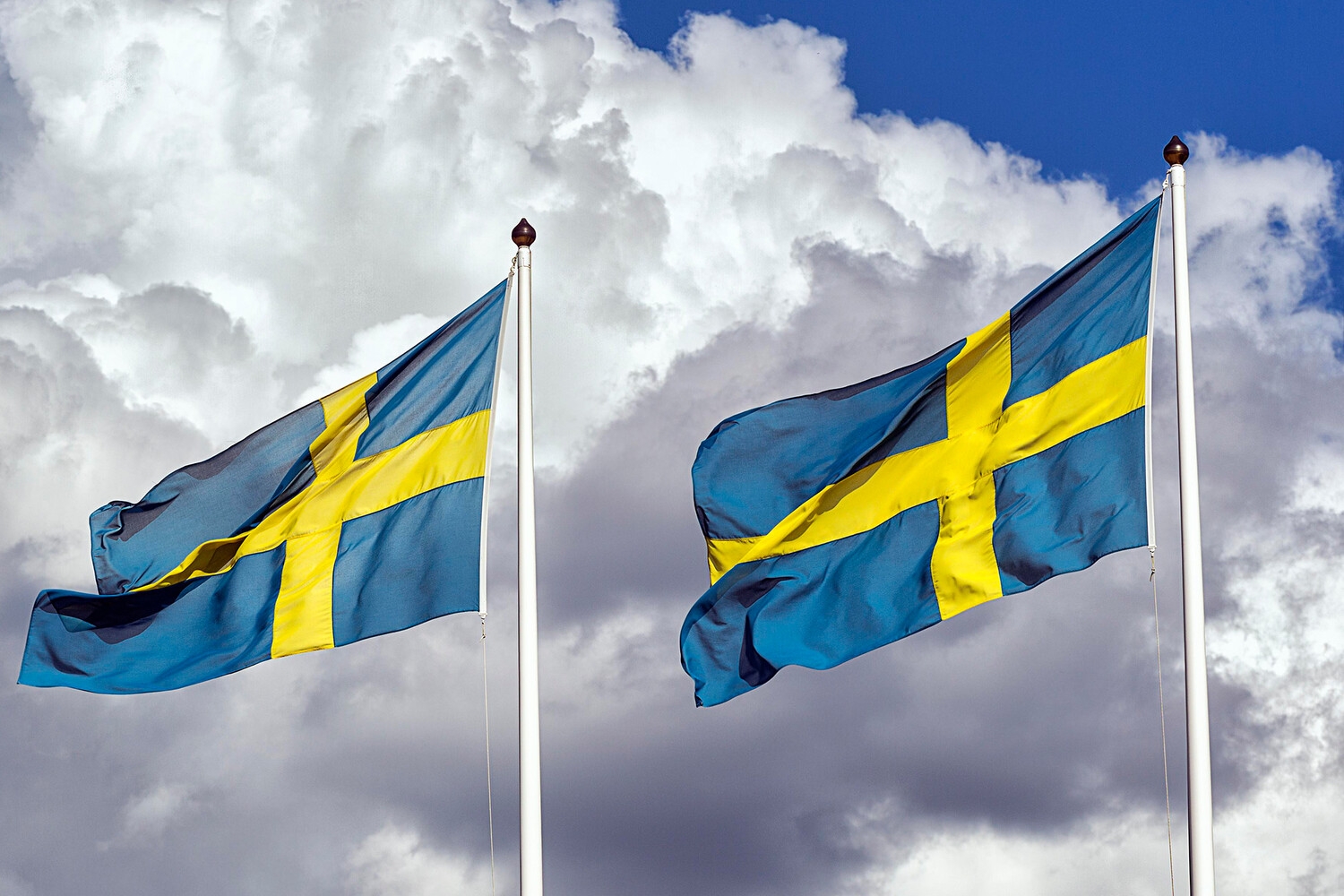Финский журналист рассказал, как Швеция выиграла от конфликта на Украине