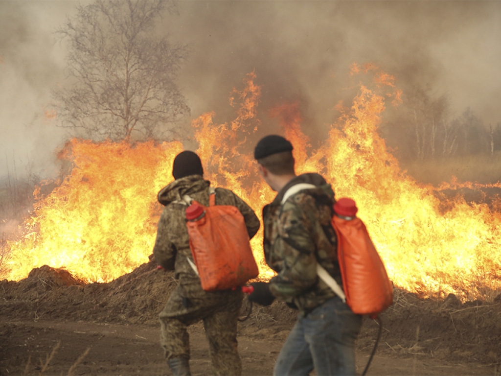 В МВД назвали новости о поджигателях леса фейком
