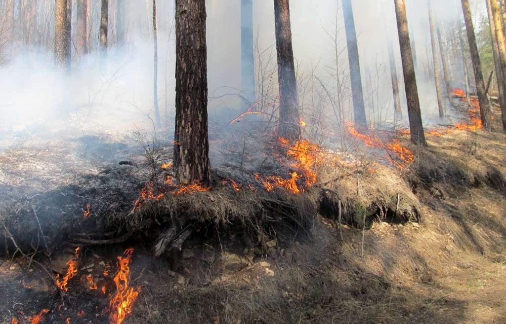 В Свердловской области ГИБДД перекрыла трассу из-за лесного пожара
