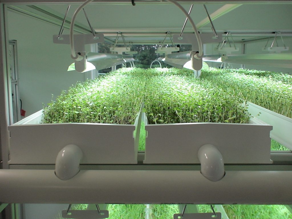 Какое оборудование стоит выбрать для выращивания растений в домашних условиях