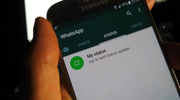 В профиле WhatsApp появится список каналов, на которые подписан пользователь