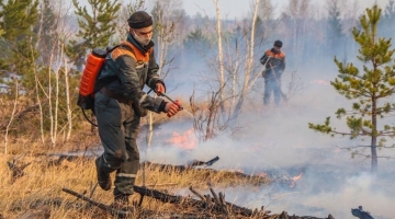 В Курганской области 2,5 тыс. жителей пострадали от природных пожаров