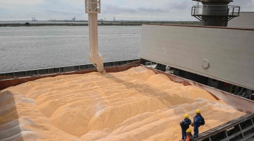 Для продления зерновой сделки удовлетворят ряд требований России