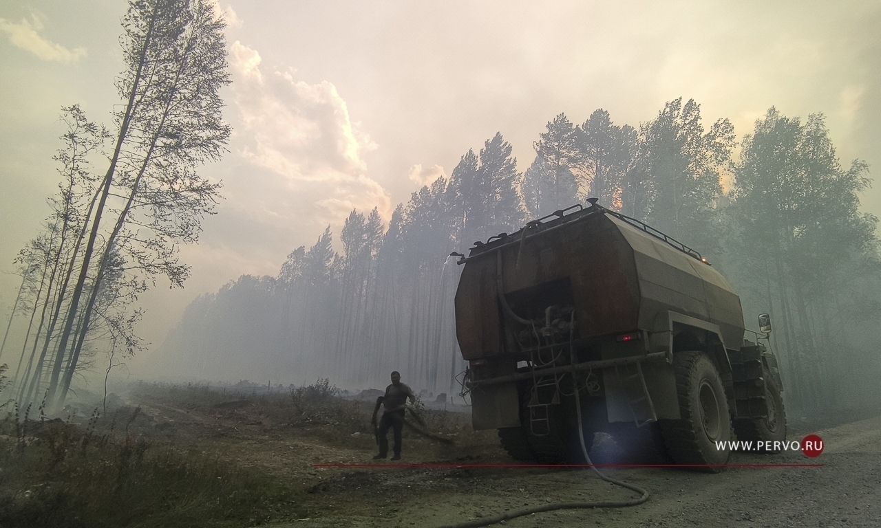 Площадь лесных пожаров сократилась за сутки почти в 7 раз