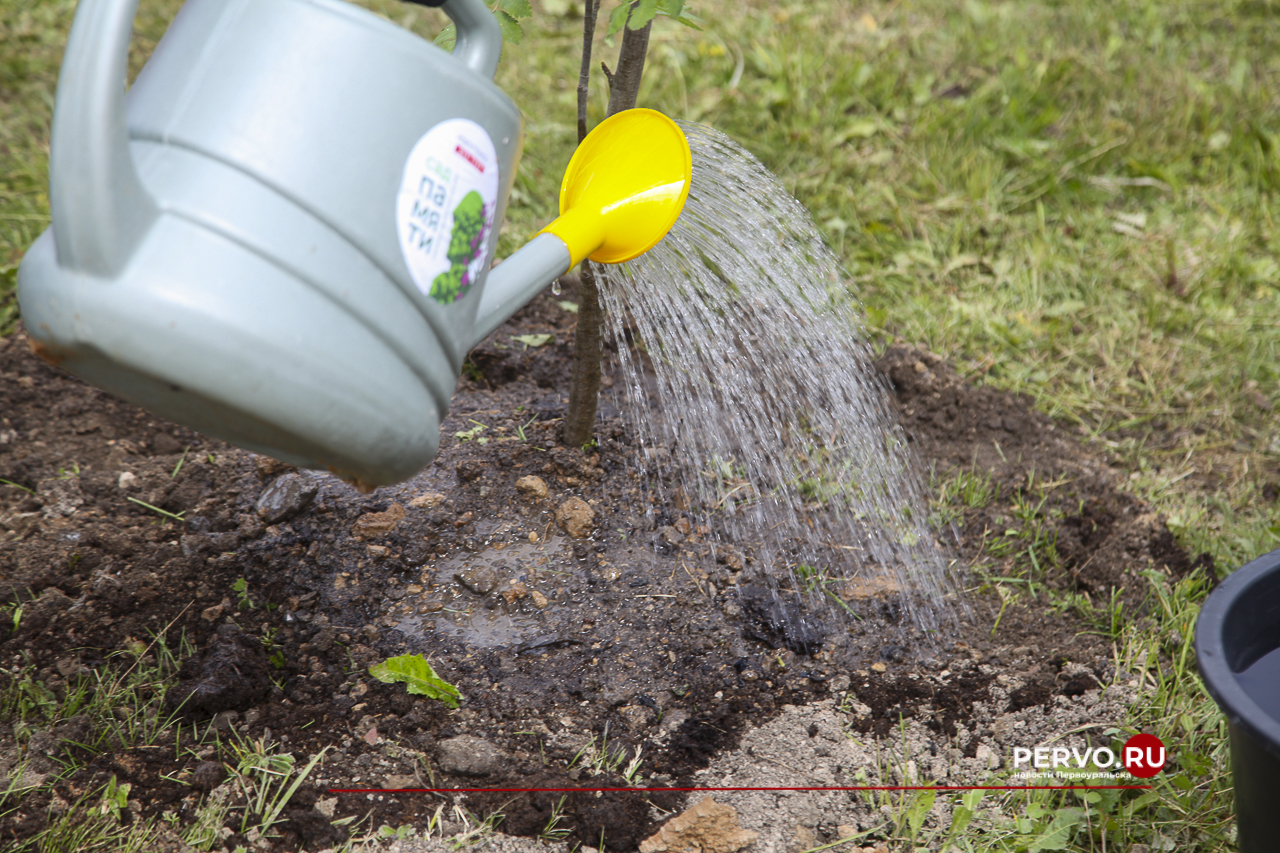 В Первоуральске вспомнили погибших в Великой войне