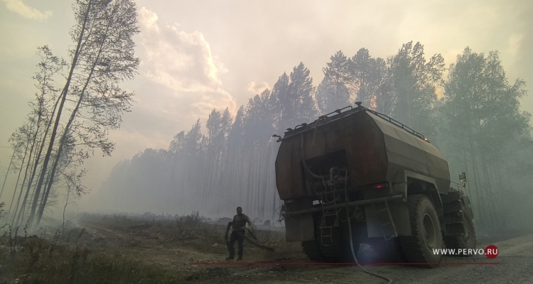 Площадь лесных пожаров сократилась за сутки почти в 7 раз