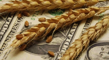 Власти Польши недовольны позицией Украины по импорту зерна