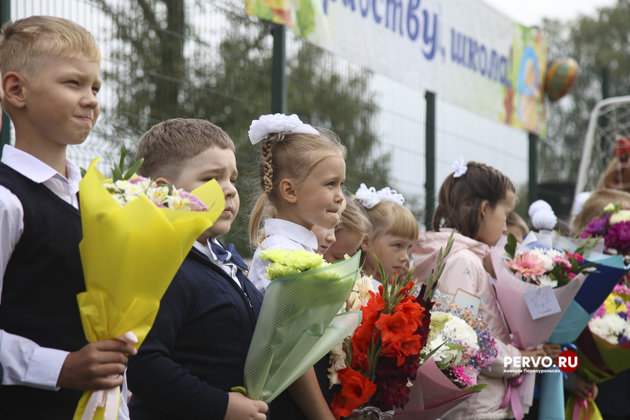 В России предложили создать бюджетный «народный школьный набор»