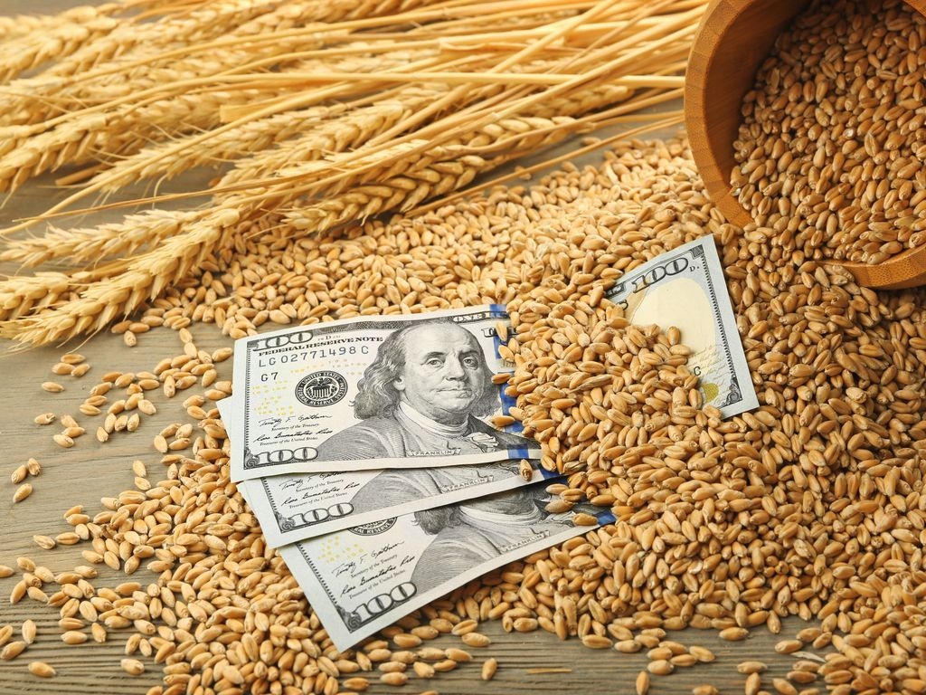 Подсчитаны потери Украины в случае разрыва зерновой сделки