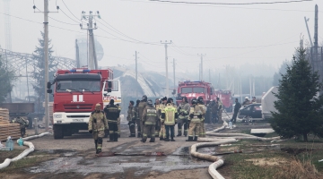 В результате лесного пожара в уральском селе Шайдуриха пострадало 40 строений