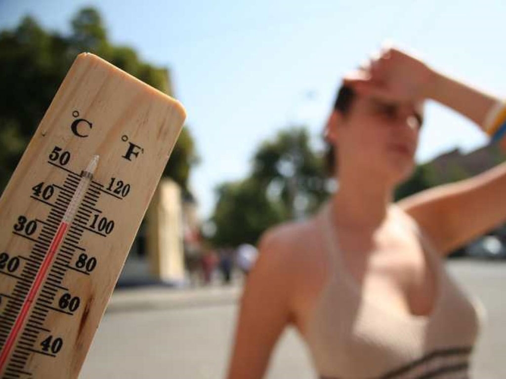 В шести регионах РФ ожидают аномальную жару