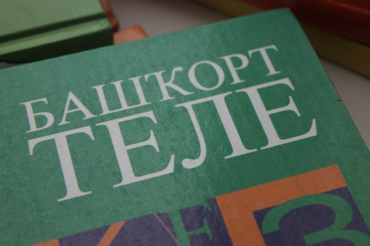 Школьники в рамках образовательной программы смогут изучать башкирский язык 