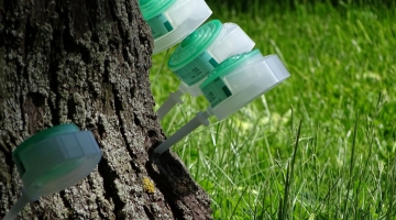 Стволовые инъекции для деревьев: как Mauget спасает растения от болезней