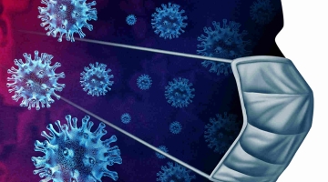 В Роспотребнадзоре назвали вариант коронавируса «пирола» более заразным, чем остальные