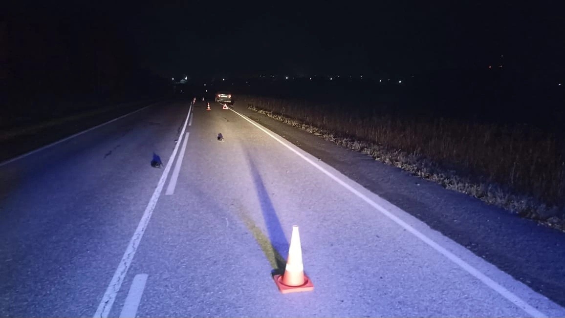 Минувшей ночью на трассе водитель Toyota насмерть сбил пешехода
