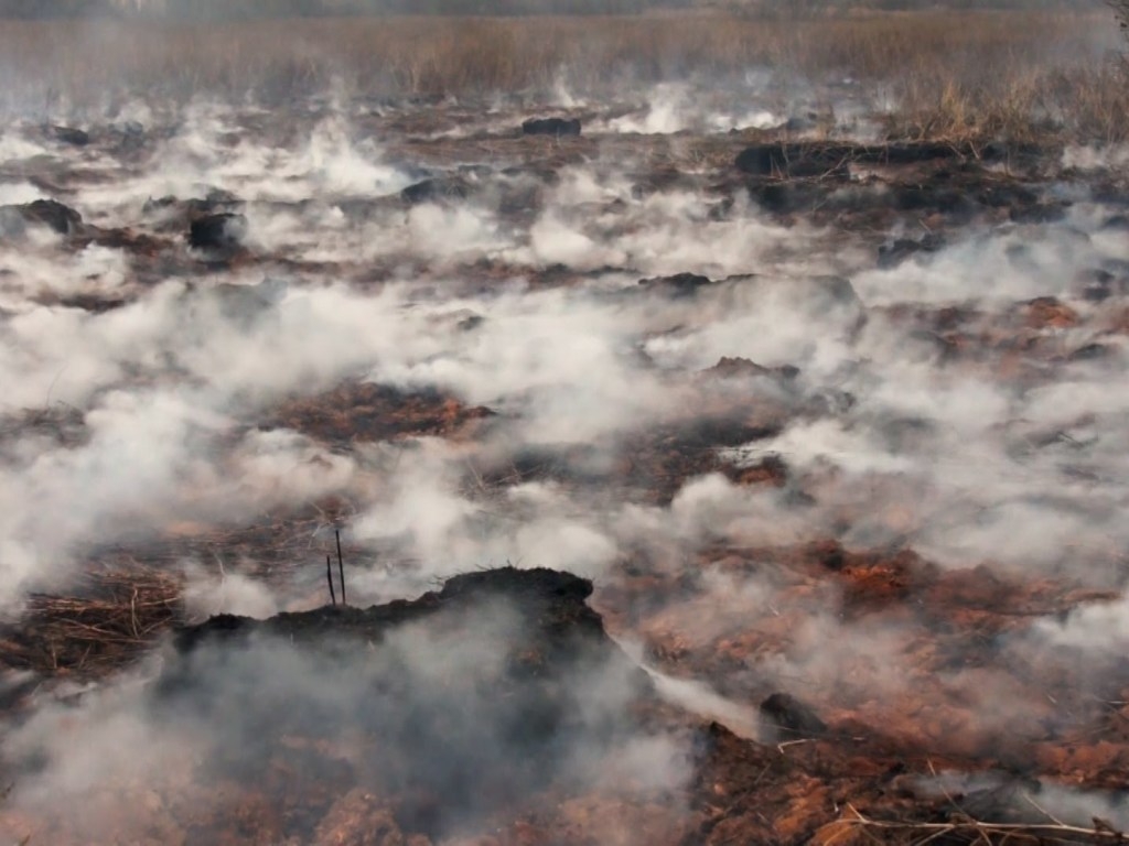 Вода ушла даже из болот: побит рекорд по торфяным пожарам