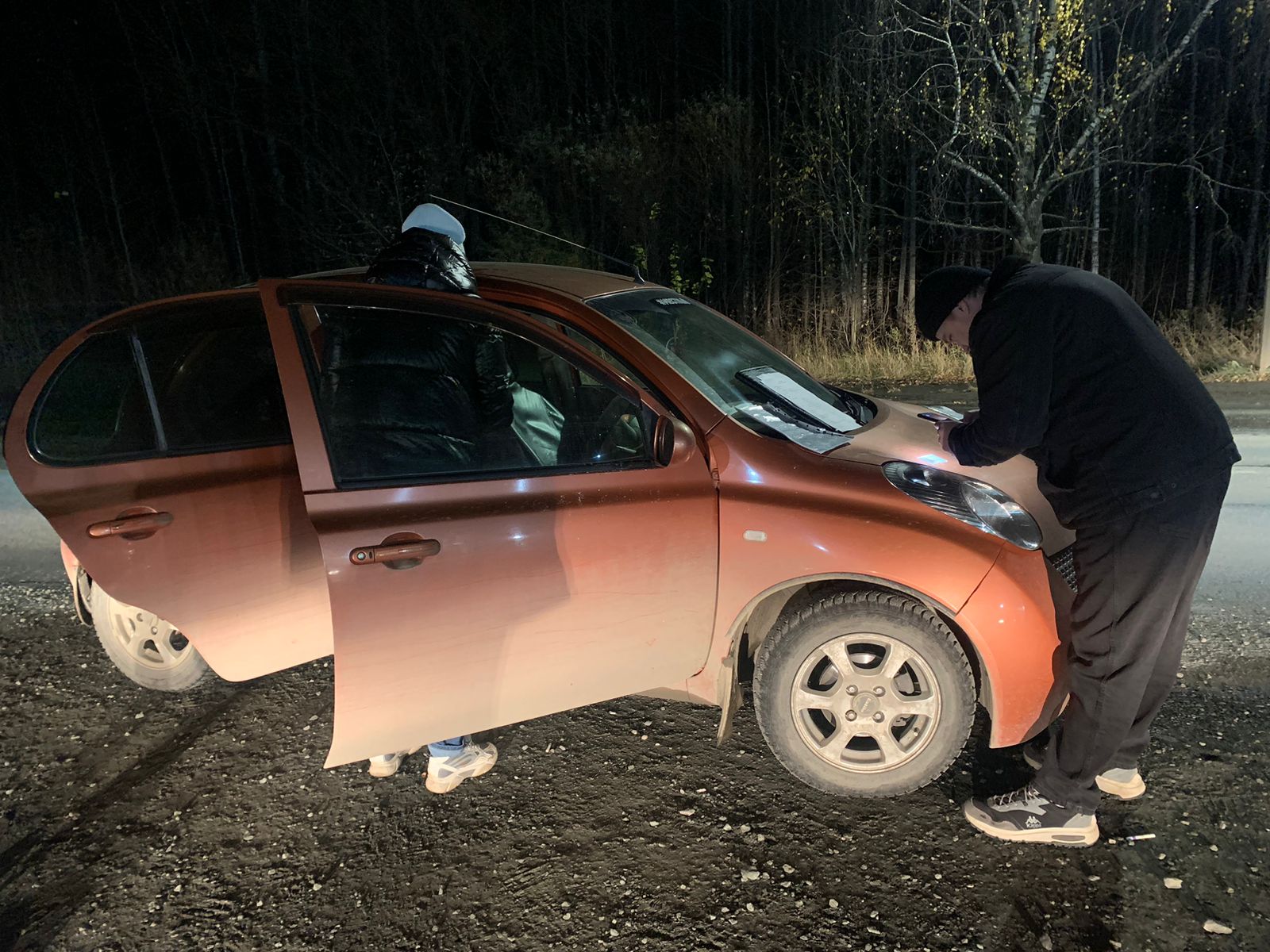 Сотрудники ГИБДД поймали пьяную автоледи