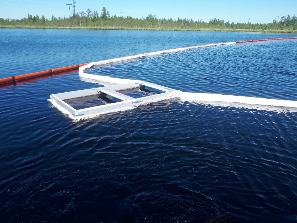 В Брянске разработали инновационный способ очистки водоемов от нефти