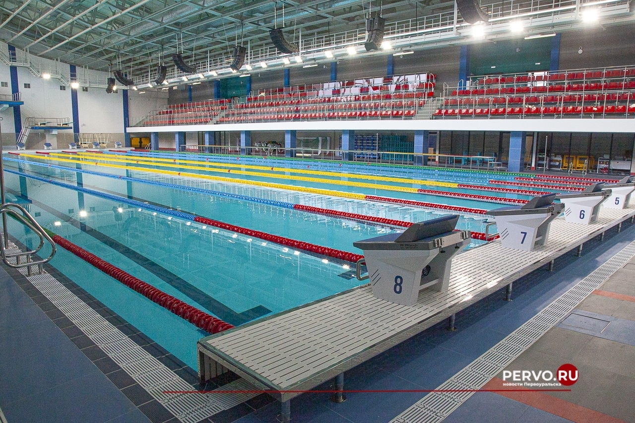 В Первоуральске могут пройти соревнования по плаванию «Всемирные игры дружбы»