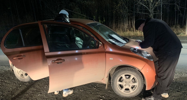 Сотрудники ГИБДД поймали пьяную автоледи