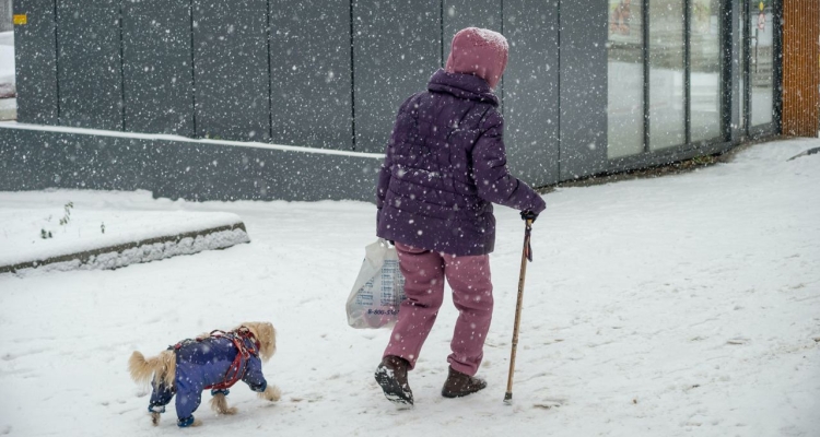 Дождались зимы: синоптики обещают снег и гололед