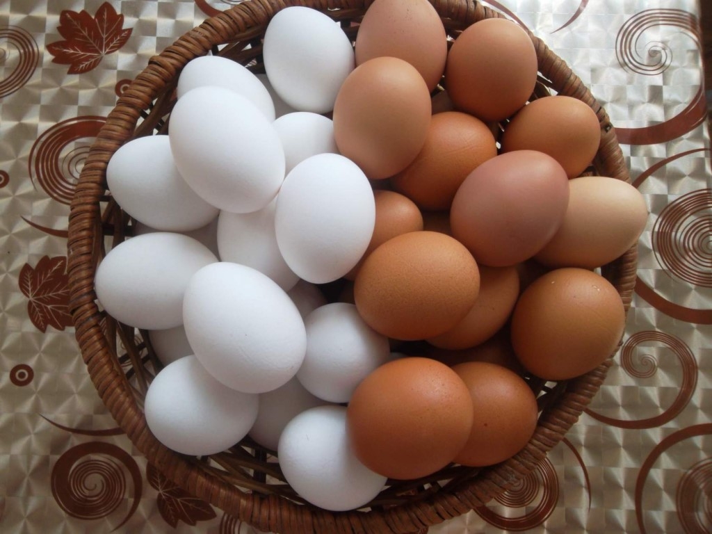 Купить десяток яиц